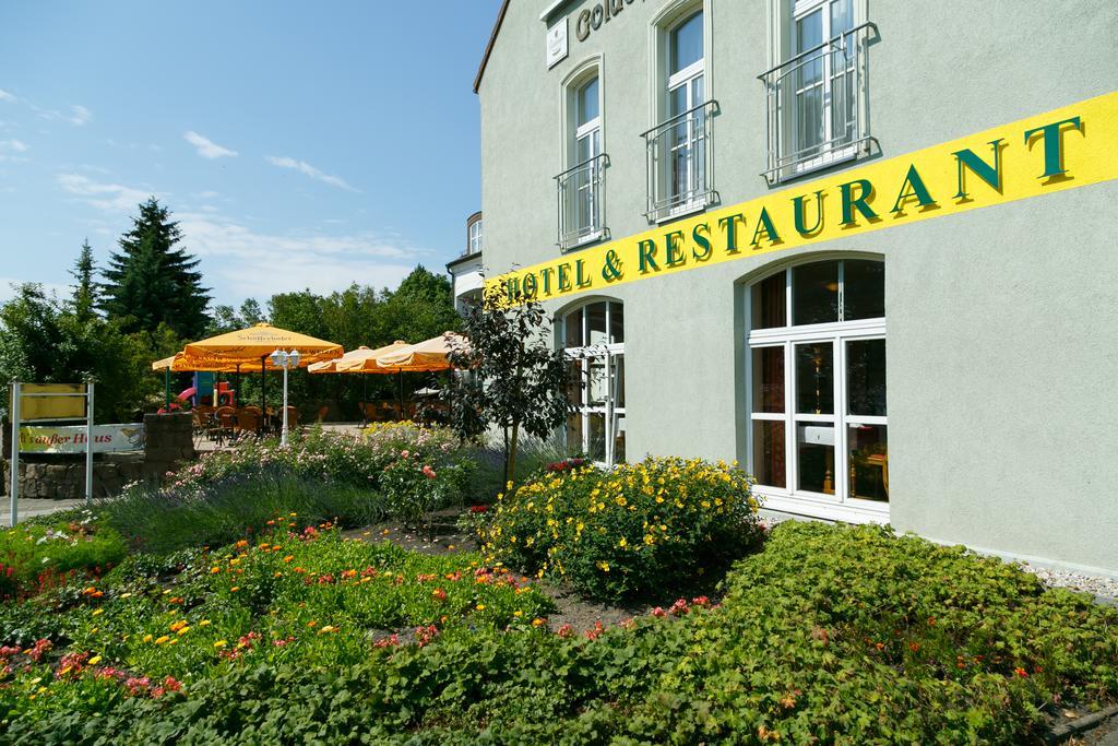 Hotel Goldener Fasan Oranienbaum-Woerlitz Exterior photo
